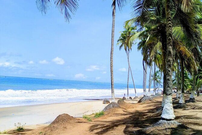 Accra To Cape Coast And Elmina Day Tour - Final Thoughts