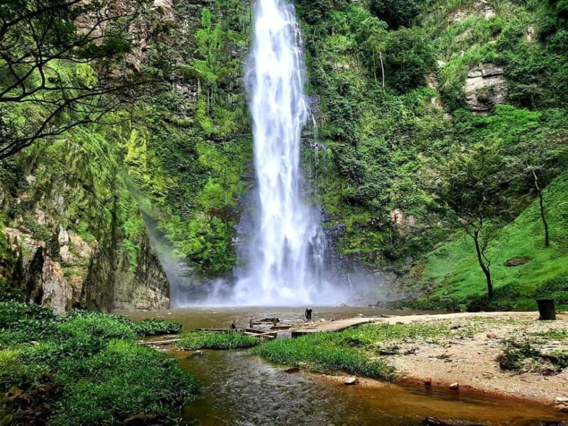 Accra: Wli falls & Mona Monkey Sanctuary - Key Points