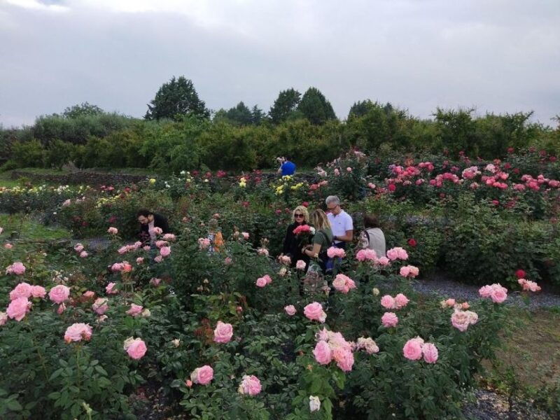 acireale-baroque-walking-and-wine-tasting-at-the-batia