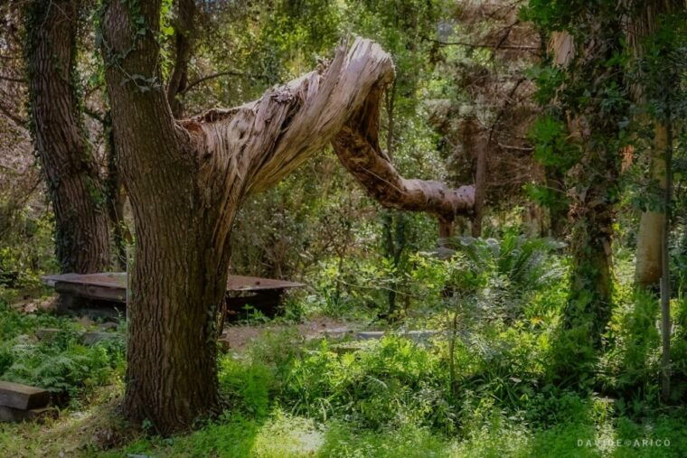 acireale-baroque-walking-and-wine-tasting-at-the-batia