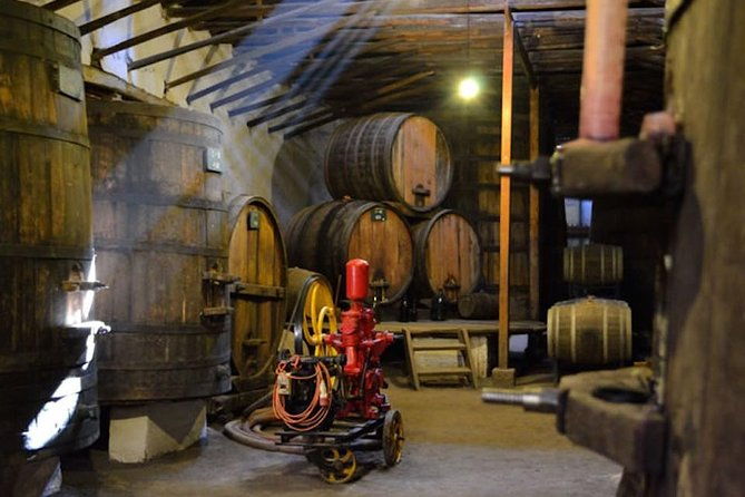aconcagua-private-wine-lovers-premium-tour