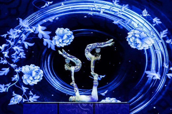 Acrobatics Show with Private Driver Service and Hotel Round Transfer - Key Points