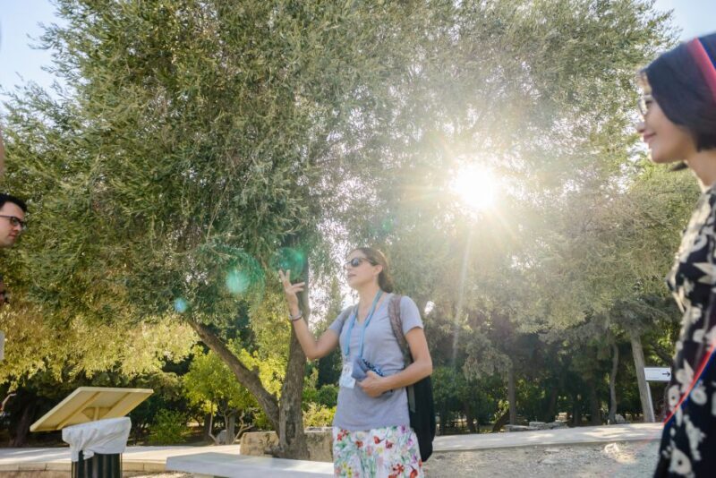 Acropolis: Acropolis and Parthenon Guided Walking Tour - The Value and Practicalities  