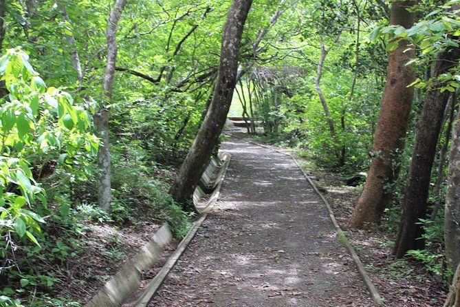 active-volcano-walk-rincon-de-la-vieja