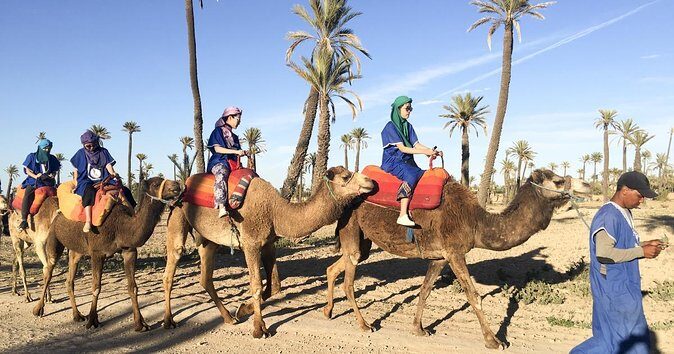 Activities in Marrakech: Camel ride tour - Key Points
