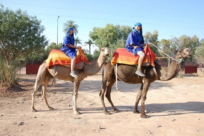 Activities in Marrakech: Camel ride tour - FAQ