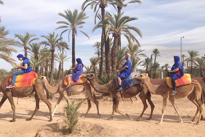 activities in Marrakech camel ride tour in palm grove - Key Points