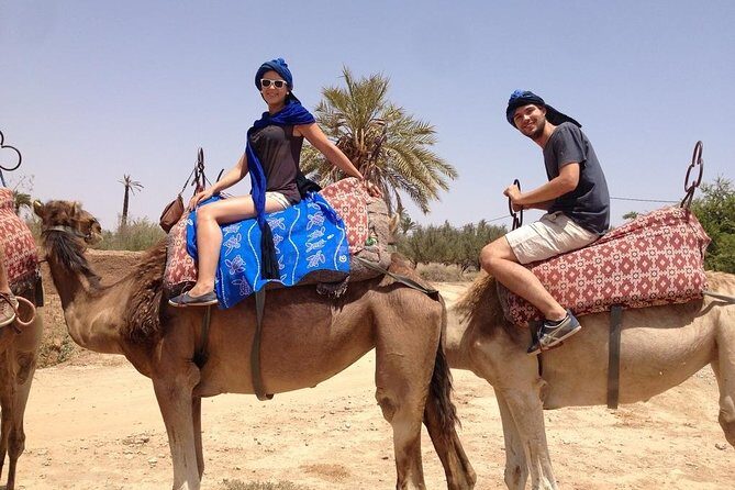 activities in Marrakech camel ride tour in palm grove - What to Expect from the Marrakech Camel Ride Tour