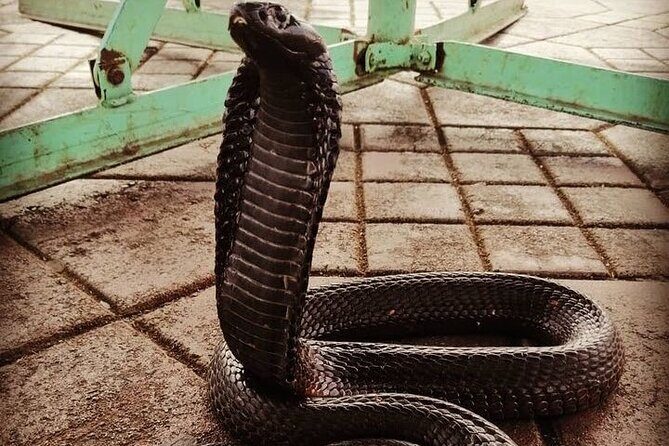 Activity in Morocco The embrace of Life and Death - Key Points