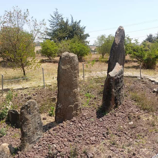 Adadi Mariam & Tiya Stelae Day Trip - An In-Depth Review of the Adadi Mariam & Tiya Stelae Day Trip