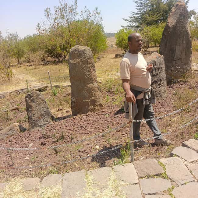 Adadi Mariam & Tiya Stelae Day Trip - Who Should Consider This Tour?