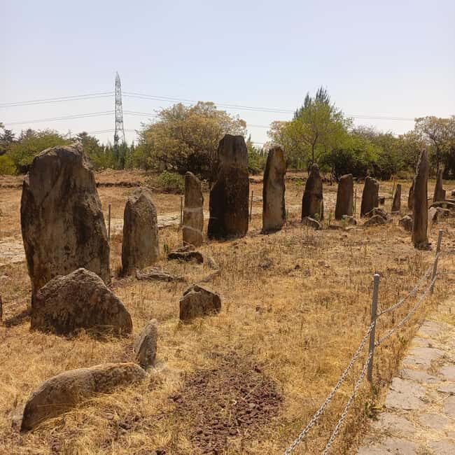 Adadi Mariam & Tiya Stelae Day Trip - FAQ