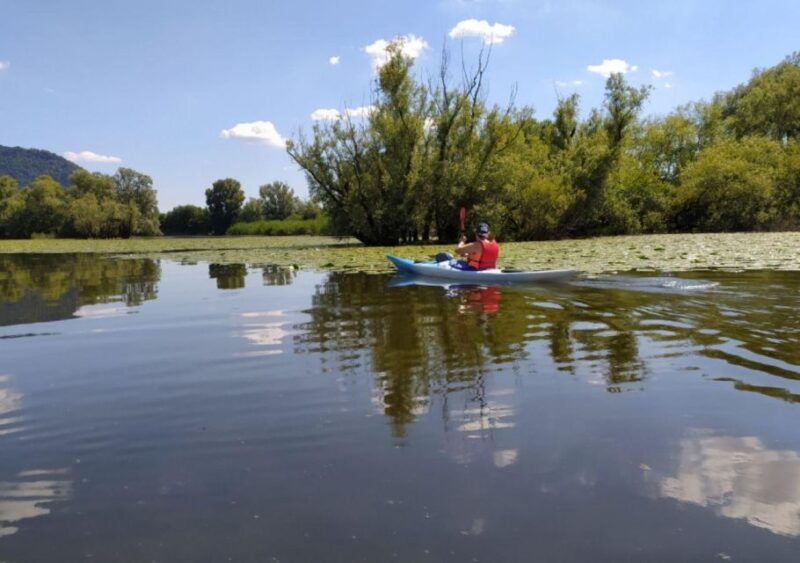 adda-river-half-day-kayak-trip