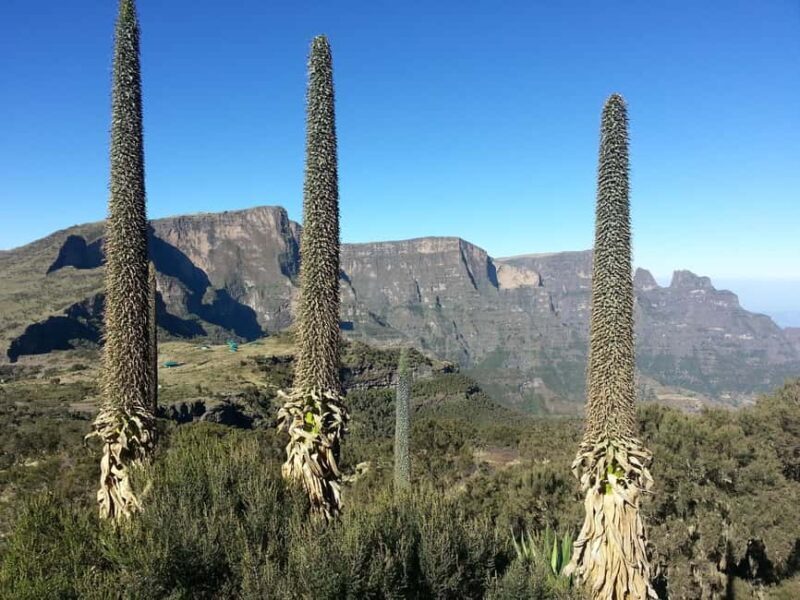 Addis Ababa: 10-Day Simien Mountains & Lalibela Tour - Unpacking the Itinerary: What You Can Expect