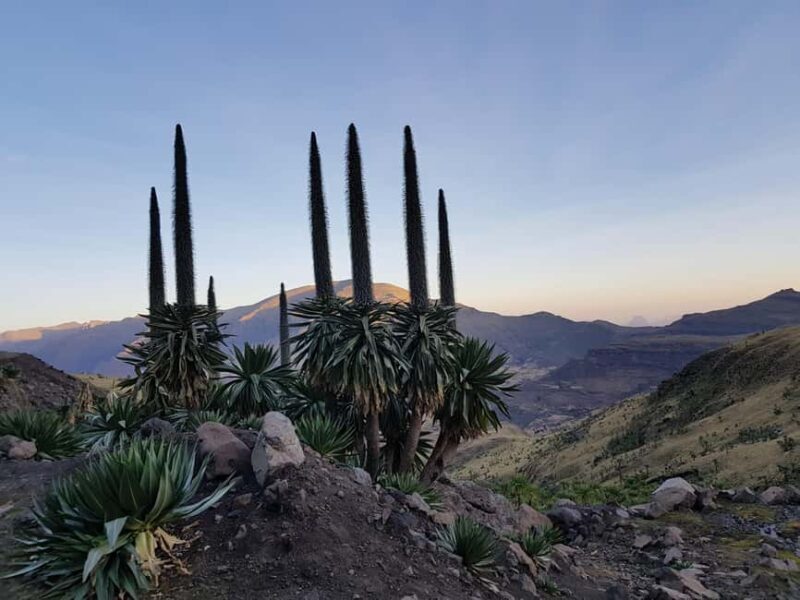 Addis Ababa: 10-Day Simien Mountains & Lalibela Tour - The Sum Up