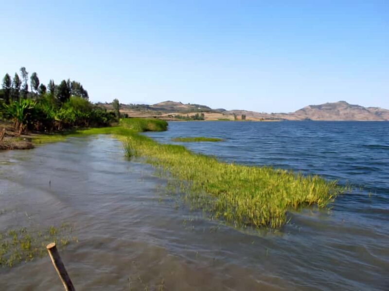 Addis Ababa: 2-Day Awassa, Lake Ziway & Wondo Genet Tour - Who Is This Tour Best For?