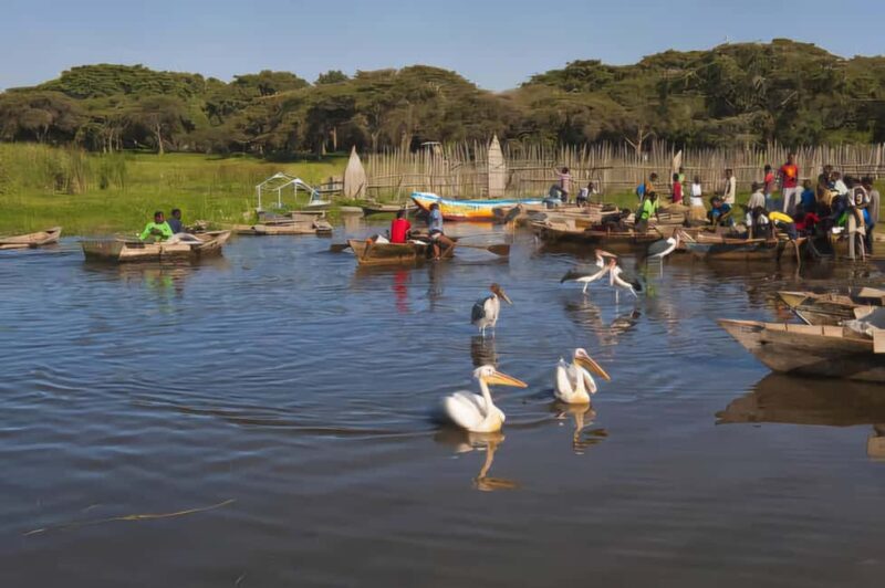 Addis Ababa: 2-Day Awassa, Lake Ziway & Wondo Genet Tour - FAQ