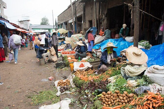 Addis Ababa City Tours Full Day With Hotel Pickup And Drop Off. - Who Is This Tour Best Suited For?
