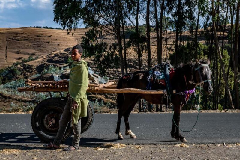 Addis Ababa Day Trip to Debre Libanos - What to Expect on the Trip