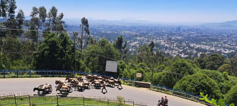 Addis Ababa Essentials: Flexible Full-Day City Sightseeing - Exploring Addis Ababa: A Depth Review