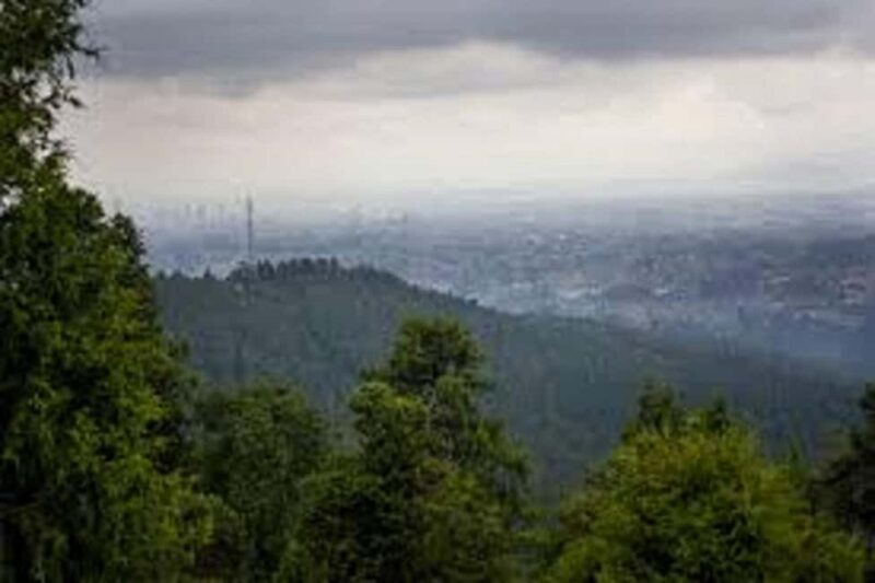 Addis Ababa: Gulele Botanic Garden with Hotel Pickup - A Detailed Look at the Gulele Botanic Garden Experience