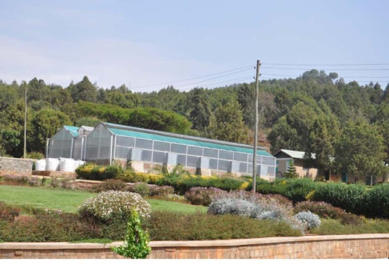 Addis Ababa: Gulele Botanic Garden with Hotel Pickup - Practical Details and What to Expect