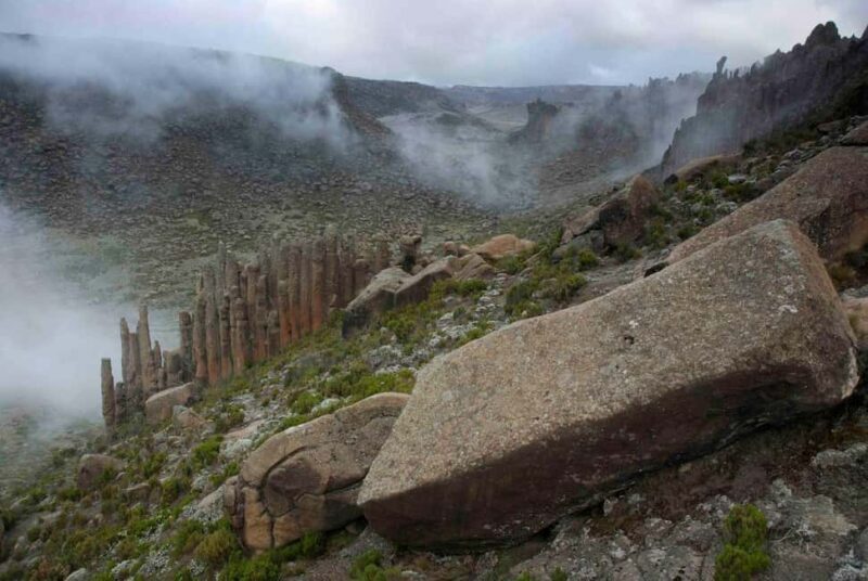 Addis Ababa: Harar, Bale Mountains, and Awash 8-Day Tour - The Experience and Logistics