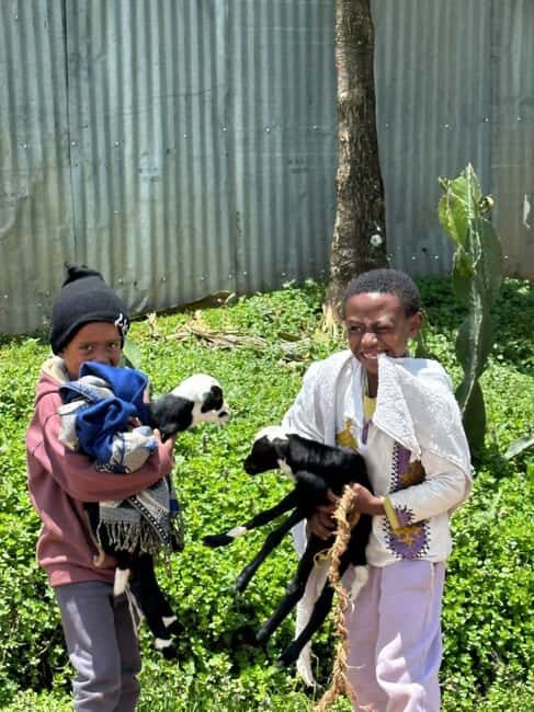 Addis Ababa highlight city tour - Frequently Asked Questions