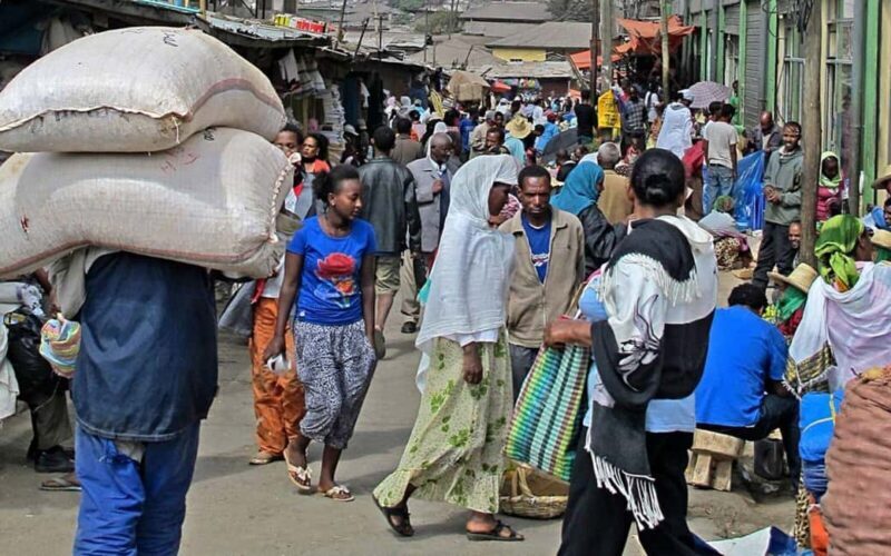 Addis Ababa: Mercato Market Guided Tour with Coffee Tasting - The Practicalities and Value
