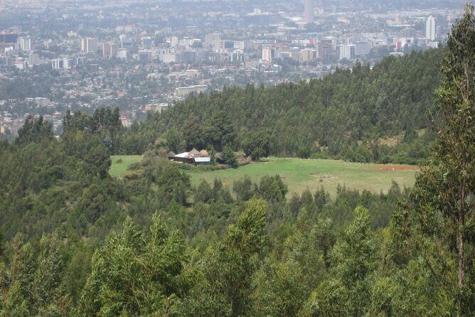 Addis Ababa +Mount Entoto View Point,Museums Palace Market Tours - Final Thoughts