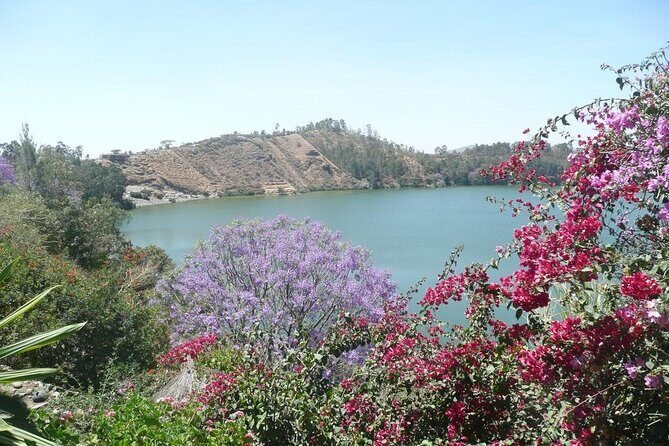 Addis Ababa Spa Day Trip To Debre Ziet(Resort Towns) - The Itinerary in Detail