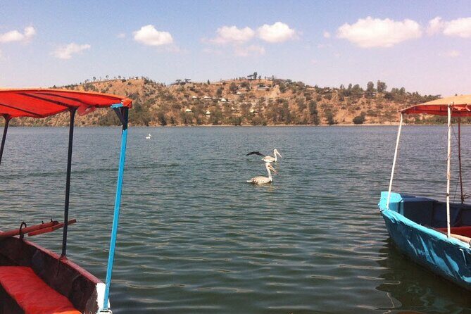 Addis Ababa Spa Day Trip To Debre Ziet(Resort Towns) - The Sum Up