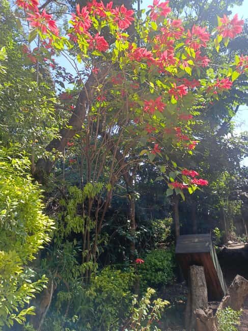 Addis Ababa:Trip with Lake Bishoftu - The Scenic Drive from Addis Ababa