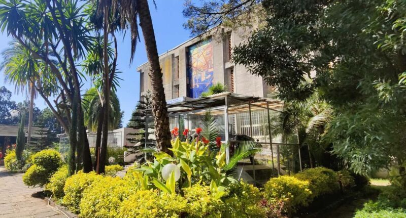 Addis Abeba's Market and Shopping Tour Free pick up and drop - The Sum Up