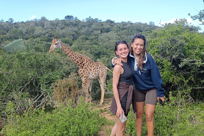 Addo Elephant National Park and Giraffe Walk Tracking Safari - In-Depth Look at the Itinerary