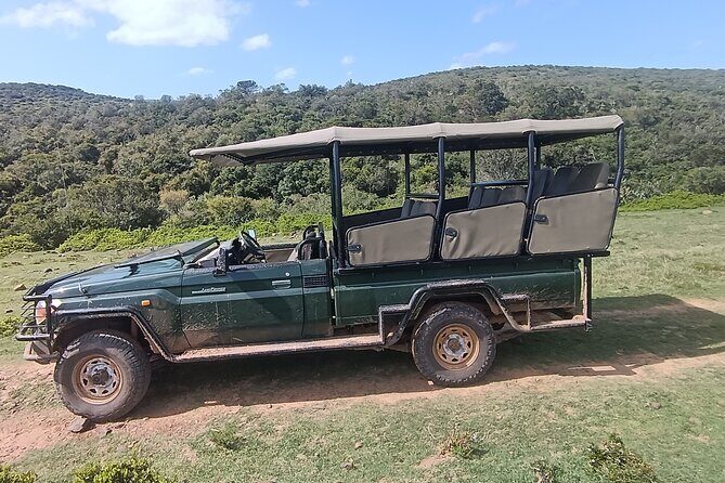 Addo Elephant National Park and Giraffe Walk Tracking Safari - Final Verdict: Who Should Consider This Tour?