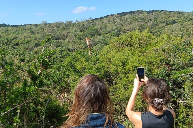 Addo Elephant National Park and Giraffe Walk Tracking Safari - Final Thoughts