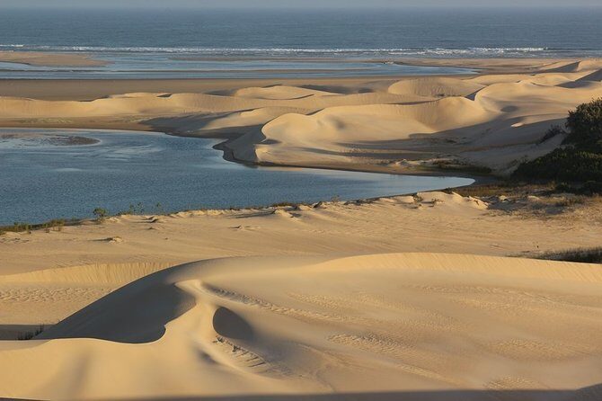 Addo Elephant National Park and Sunset River Cruise - FD04 - Final Thoughts on Value and Suitability