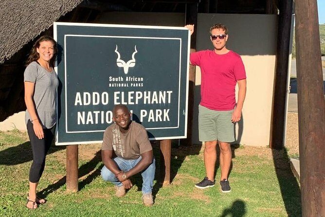 Addo Elephant National Park Day Tour from Port Elizabeth - Key Points