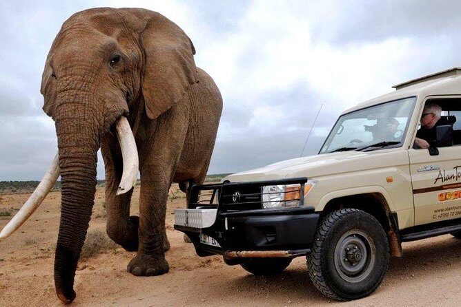 Addo Elephant National Park from Port Elizabeth - FD01 - Key Points