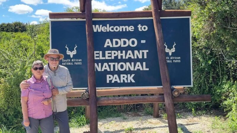 Addo Elephant National Park Full-Day Safari - What to Expect from Your Addo Safari Adventure
