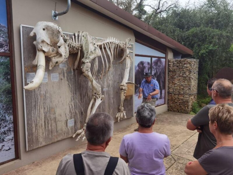 Addo Elephant National Park Full-Day Safari - Practical Details: What You Need to Know