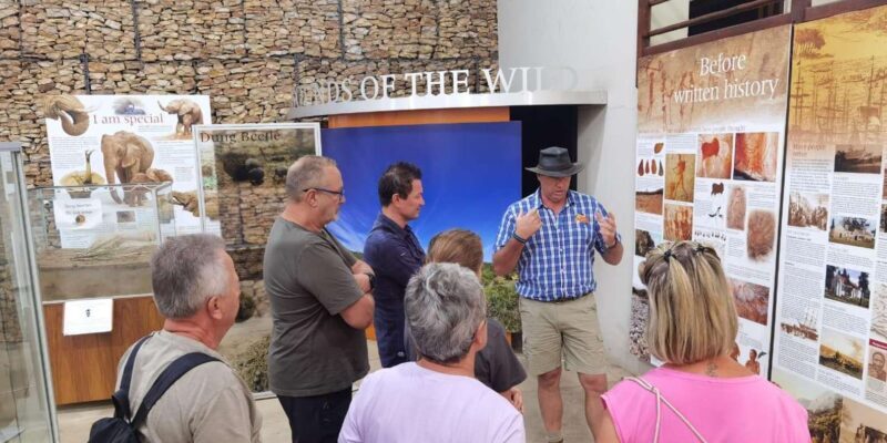Addo Elephant National Park Half-Day Safari - Final Thoughts