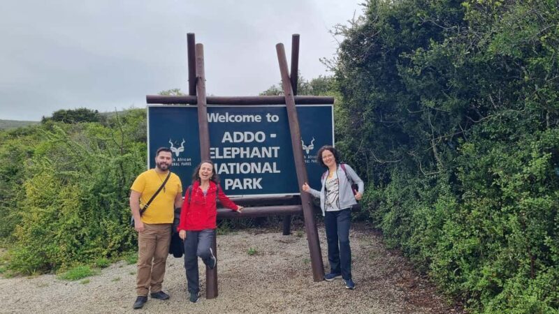 Addo Elephant National Park Private Full-Day Safari - Real-Life Highlights from Tour Reviews
