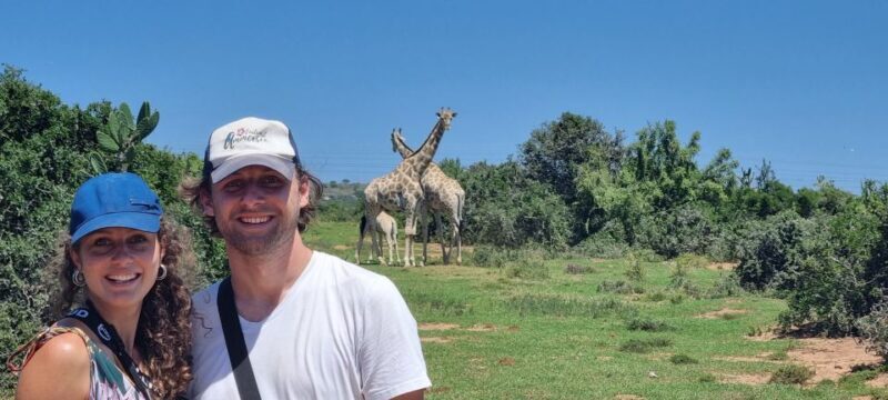 Addo Elephant Park and Giraffe Walk Private Full Day Safari - Practical Details and Value for Money