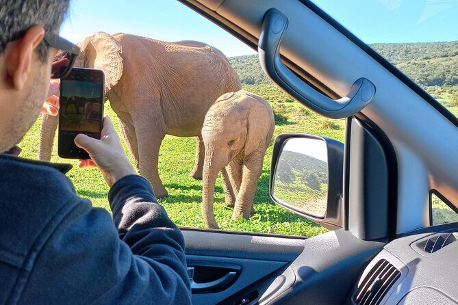 Addo Elephant Park Full day big 5 Safari - Final Thoughts