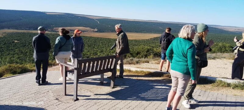 Addo elephant park (fullday-game drive)-with braai Lunch BBQ - An In-Depth Look at What You Can Expect