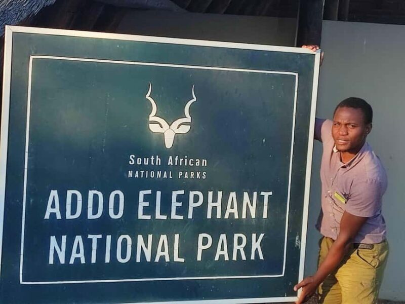 Addo Elephant Park Tours. Full Day - Key Points