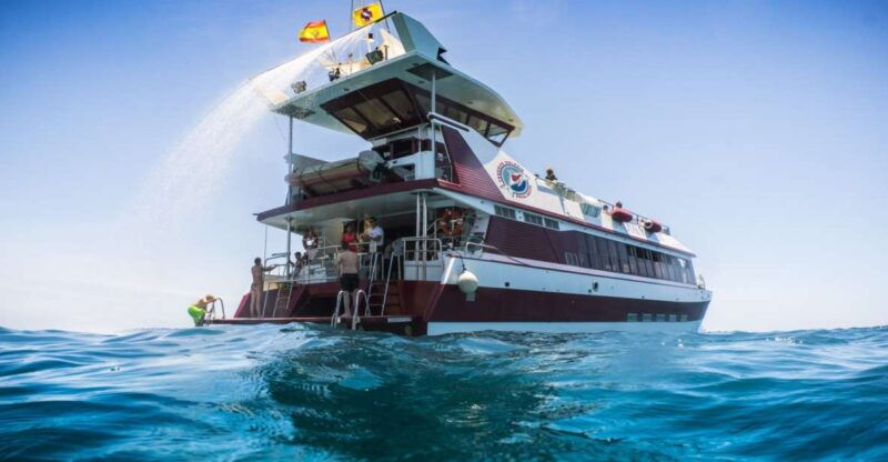 adeje-whale-and-dolphin-watching-cruise-with-lunch-and-swim