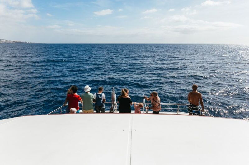adeje-whale-and-dolphin-watching-cruise-with-lunch-and-swim
